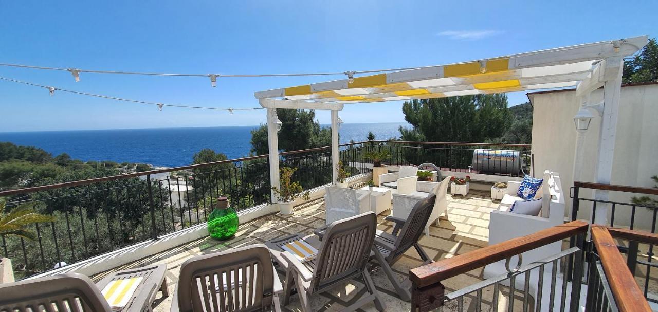 Il Il Carrubo Casa vacanze Gagliano del Capo