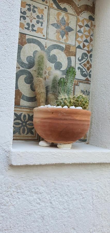 Casa vacanze Il Il Carrubo *